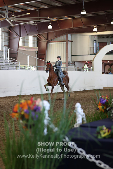 CA_Springfest19_Sun_3447