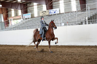 CA_Springfest19_Sun_3455