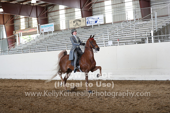 CA_Springfest19_Sun_3455