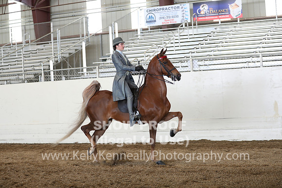 CA_Springfest19_Sun_3456
