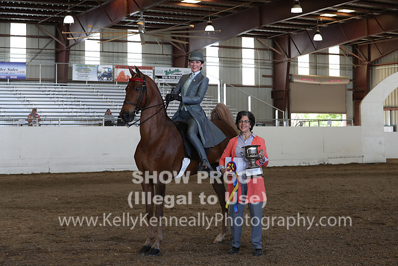 CA_Springfest19_Sun_3458