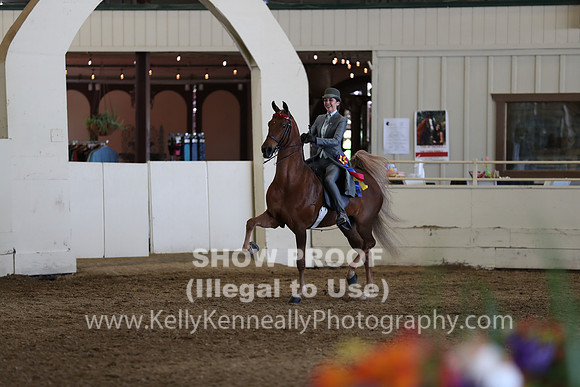 CA_Springfest19_Sun_3461