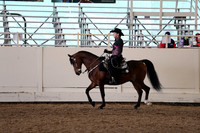 Class 100 Morgan Western Pleasure Championship