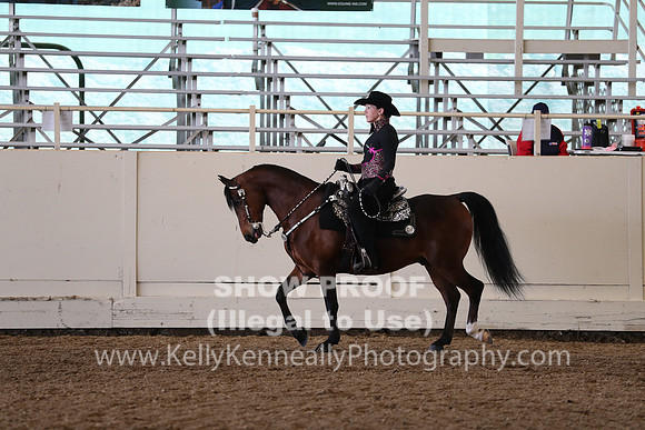 CA_Springfest19_Sun_3488