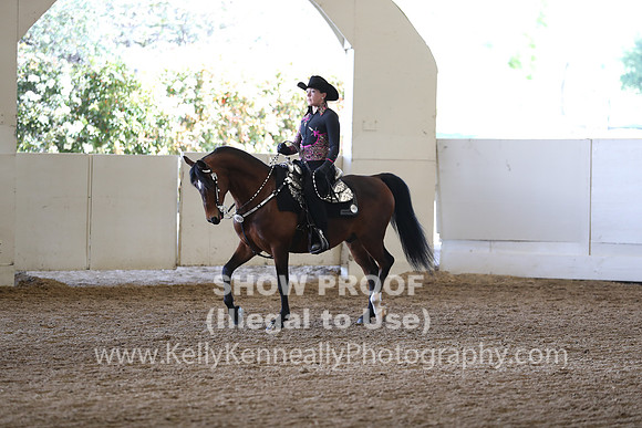 CA_Springfest19_Sun_3490