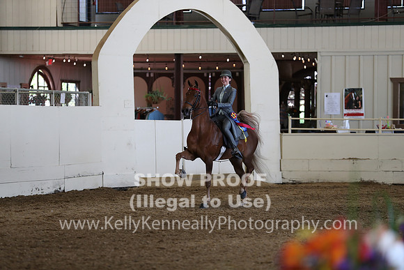 CA_Springfest19_Sun_3464
