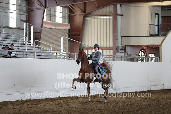 CA_Springfest19_Sun_3469