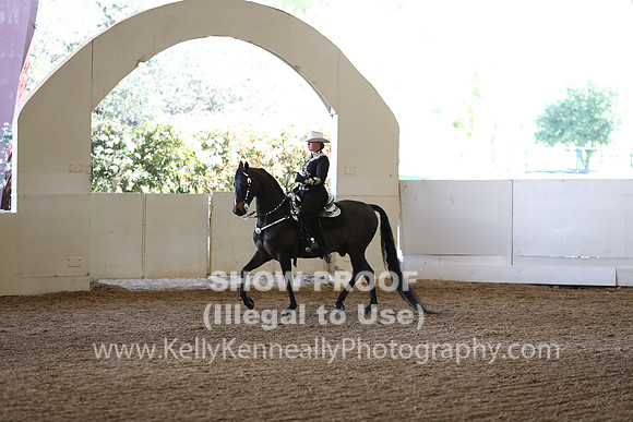 CA_Springfest19_Sun_3495