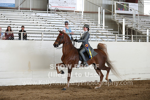 CA_Springfest19_Sun_3481