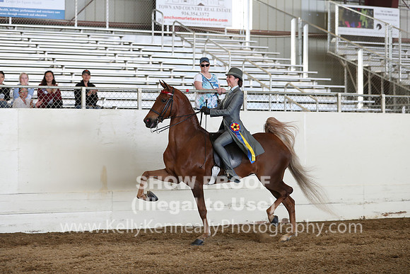 CA_Springfest19_Sun_3482