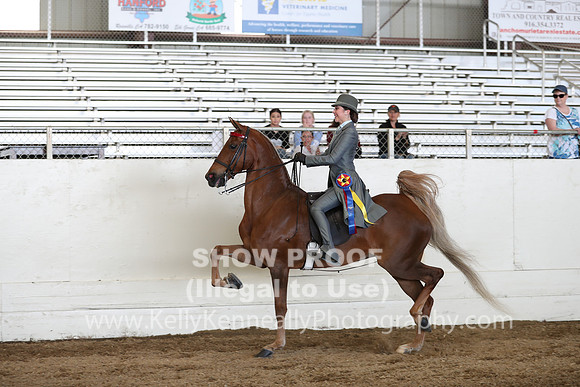 CA_Springfest19_Sun_3484