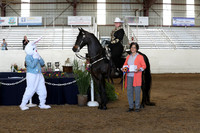 CA_Springfest19_Sun_3507