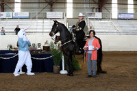CA_Springfest19_Sun_3508