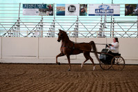 CA_Springfest19_SatAM_1202