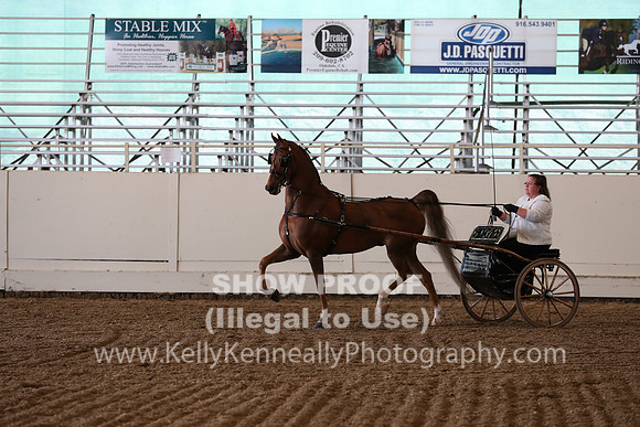CA_Springfest19_SatAM_1202