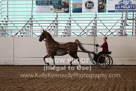 CA_Springfest19_SatAM_1205