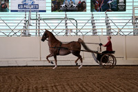 CA_Springfest19_SatAM_1204
