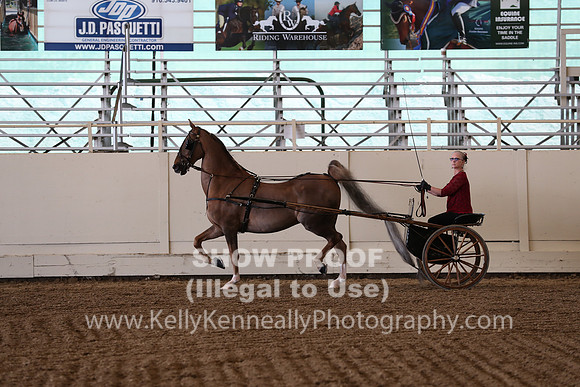 CA_Springfest19_SatAM_1204