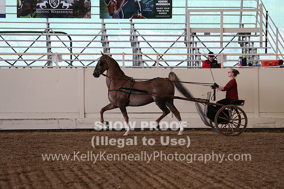 CA_Springfest19_SatAM_1203