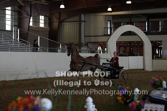 CA_Springfest19_SatAM_1211