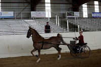 CA_Springfest19_SatAM_1213