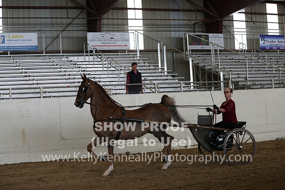 CA_Springfest19_SatAM_1213