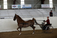 CA_Springfest19_SatAM_1214