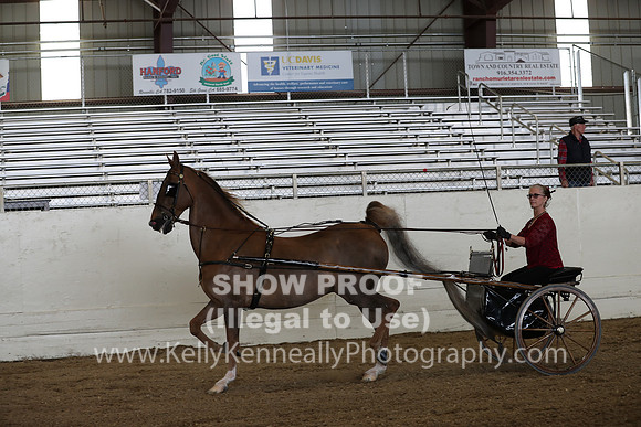 CA_Springfest19_SatAM_1214