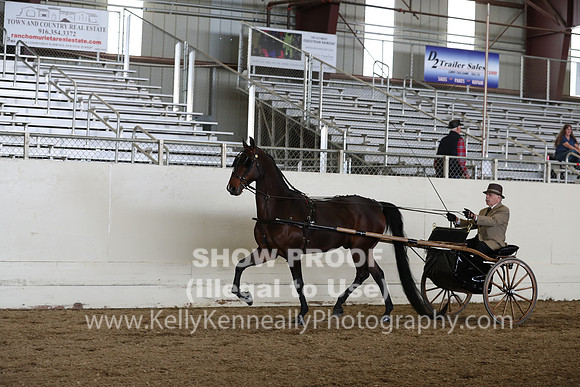 CA_Springfest19_SatAM_1216