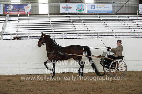 CA_Springfest19_SatAM_1218