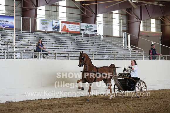 CA_Springfest19_SatAM_1220