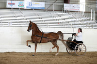 CA_Springfest19_SatAM_1222