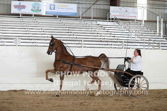 CA_Springfest19_SatAM_1222
