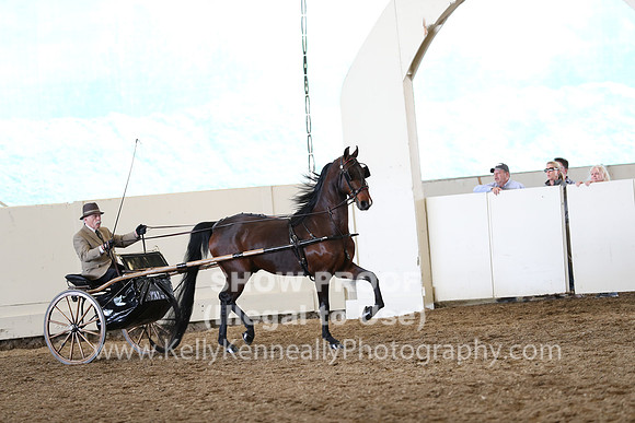 CA_Springfest19_SatAM_1223