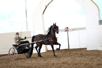 CA_Springfest19_SatAM_1224