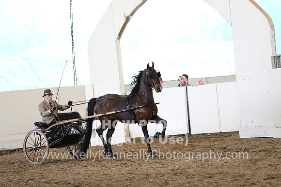 CA_Springfest19_SatAM_1224