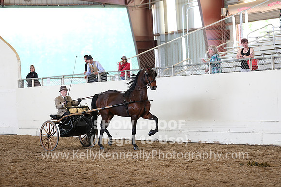 CA_Springfest19_SatAM_1226