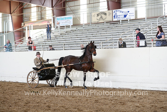 CA_Springfest19_SatAM_1228