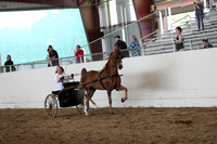 CA_Springfest19_SatAM_1231