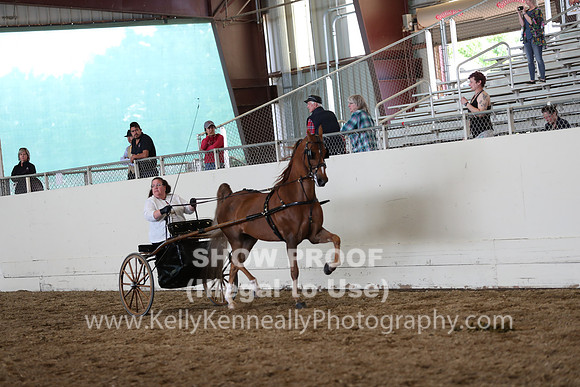 CA_Springfest19_SatAM_1231