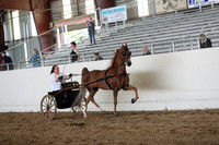 CA_Springfest19_SatAM_1232