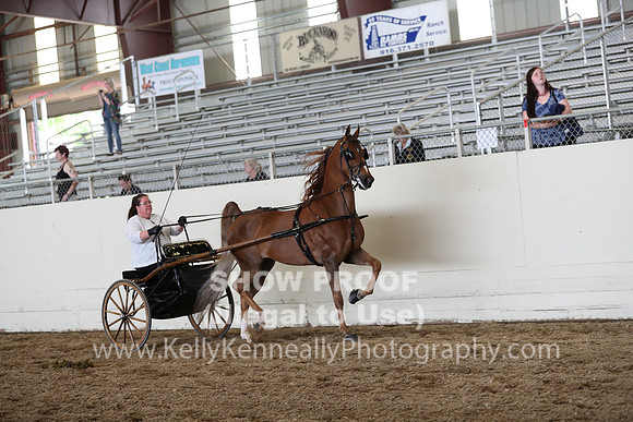 CA_Springfest19_SatAM_1233