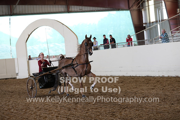 CA_Springfest19_SatAM_1236