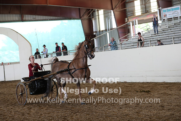 CA_Springfest19_SatAM_1237