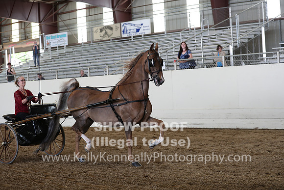 CA_Springfest19_SatAM_1238