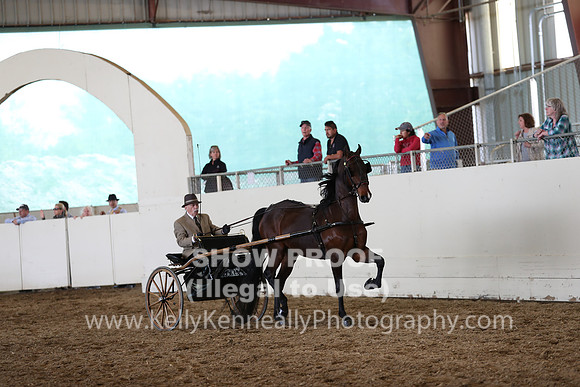 CA_Springfest19_SatAM_1241