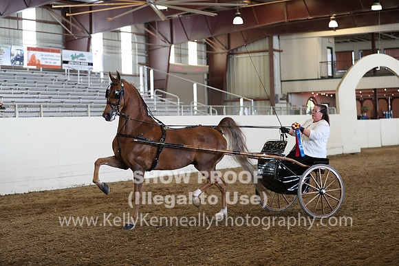 CA_Springfest19_SatAM_1244