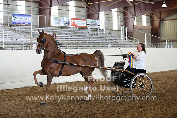 CA_Springfest19_SatAM_1245