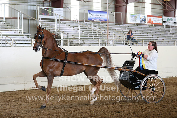 CA_Springfest19_SatAM_1246