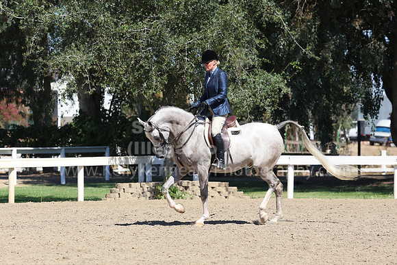 DAHA_FF22_2936